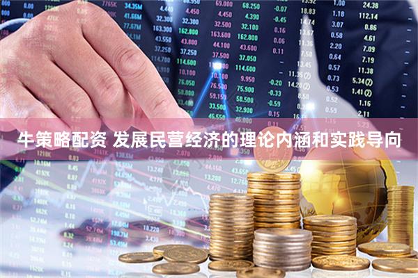 牛策略配资 发展民营经济的理论内涵和实践导向