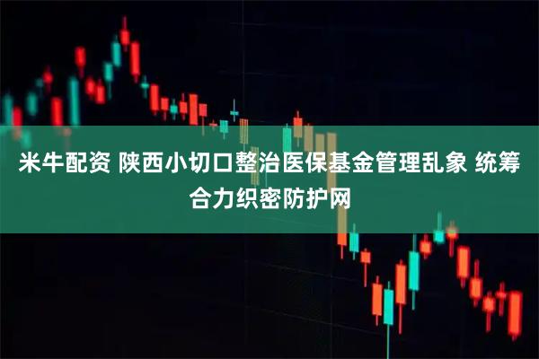 米牛配资 陕西小切口整治医保基金管理乱象 统筹合力织密防护网